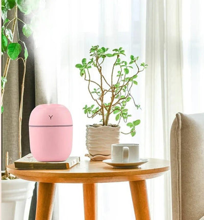 Multicolor Air Humidifier with Night Lamp